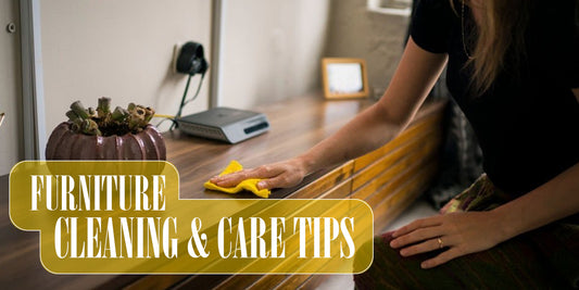 Furniture Cleaning and Care Tips